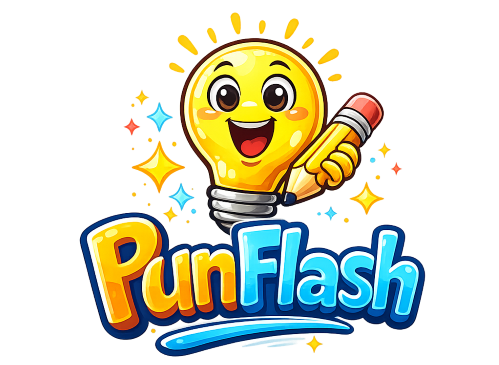 Punflash.com