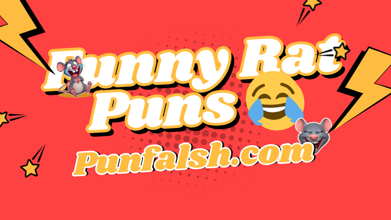 funny-rat-puns-jokes