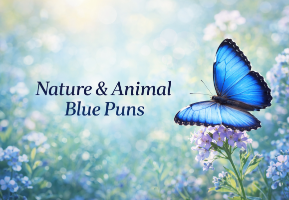 Blue butterfly on flower in garden for nature and animal blue puns